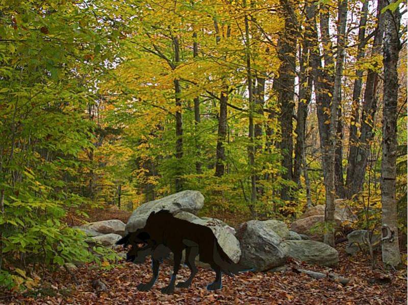 Balto Lost in the Forest