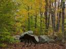 Balto Lost in the Forest