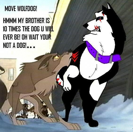 sharp and balto meet