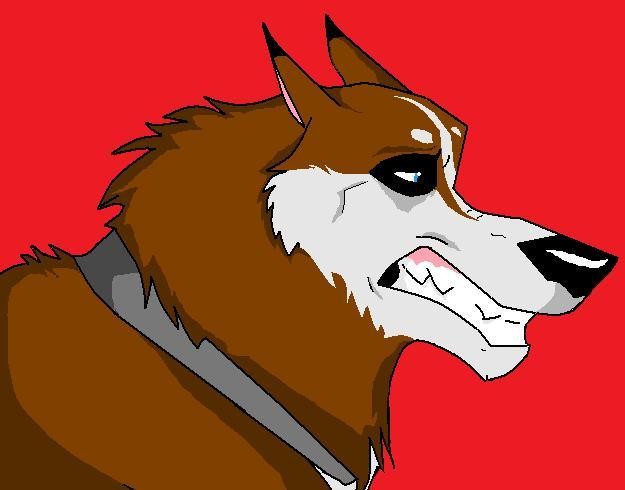 colt! yeah boi!