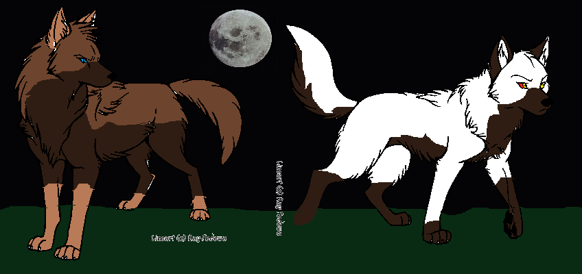 Meeting under the moonlight