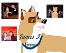 James Is Sorry Fanfic Cover