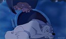  Sweet Dreams