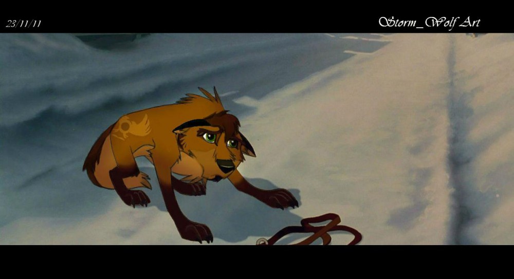 'My brothers will come'