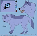 Cloud (Color & Body Profile)