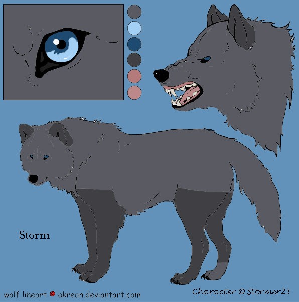 Storm (Color & Body Profile)