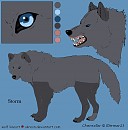 Storm (Color & Body Profile)
