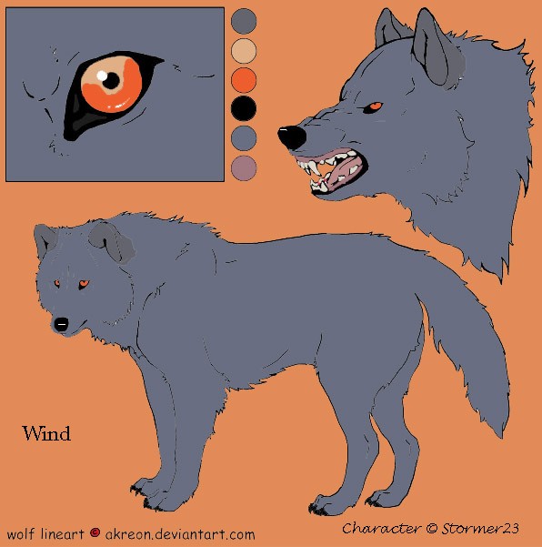 Wind (Color & Body Profile)