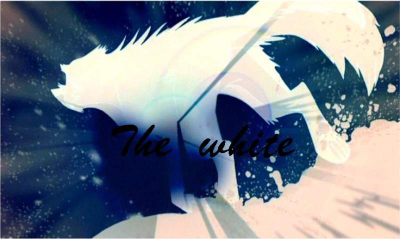 The white