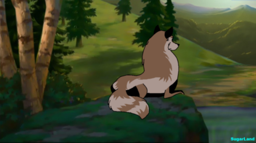 ~Looking Over The Forest~