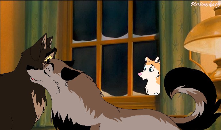 ~You like WHO?!?!~