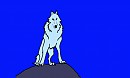 white wolf pic =)