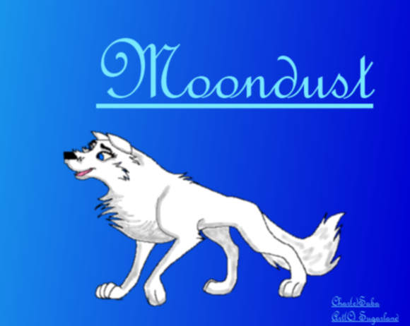 ~Moondust reference sheet*giftie*~