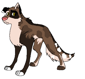 Character design for AIC