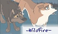 -WildFire-