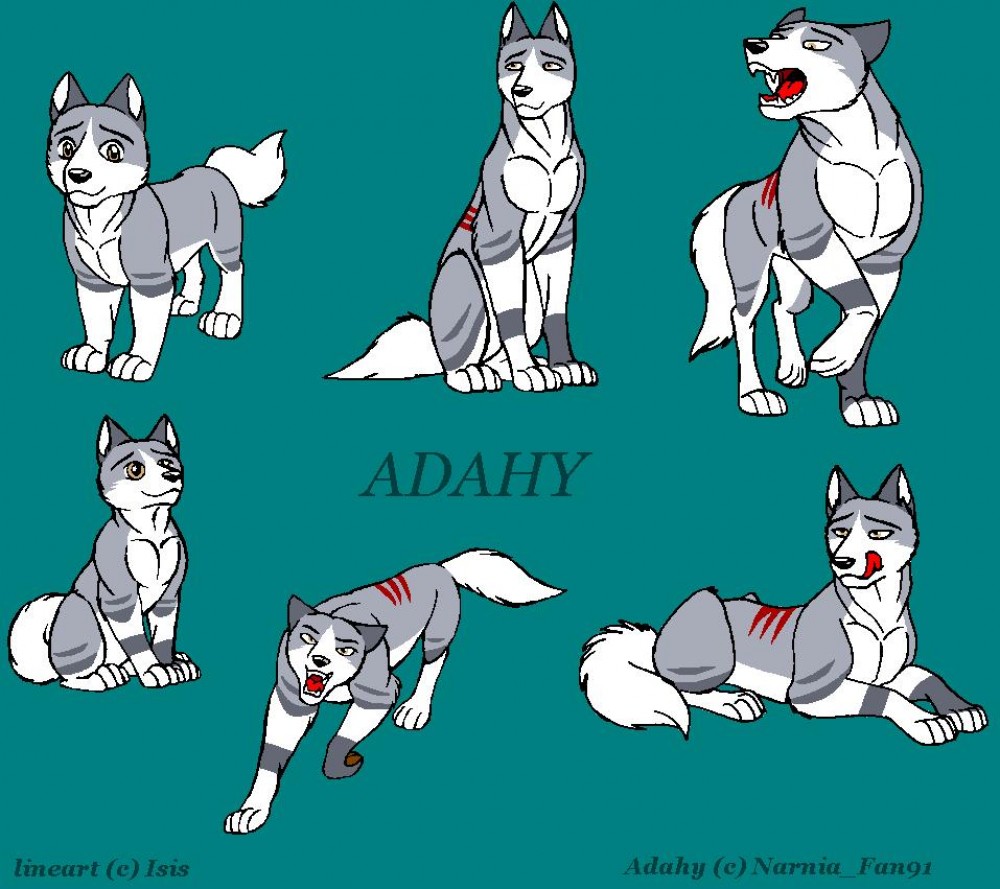 Adahy collage! 