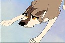 Hawk -- Giftie for Tadie 