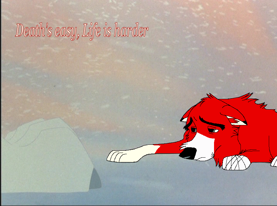 Roso -- Request for Wolfhusky
