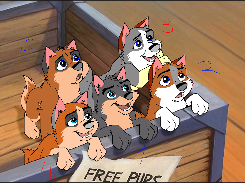 The puppiez are here! 