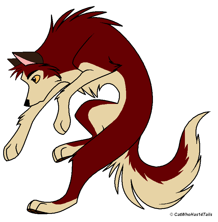 Character makeover - Dingo