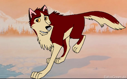 Dingooo<3