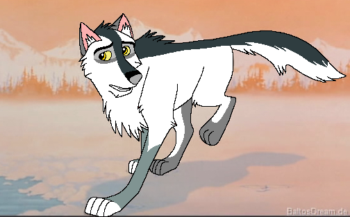 Introducing Hunter