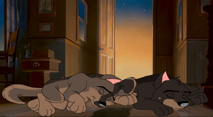 Sleeping brothers