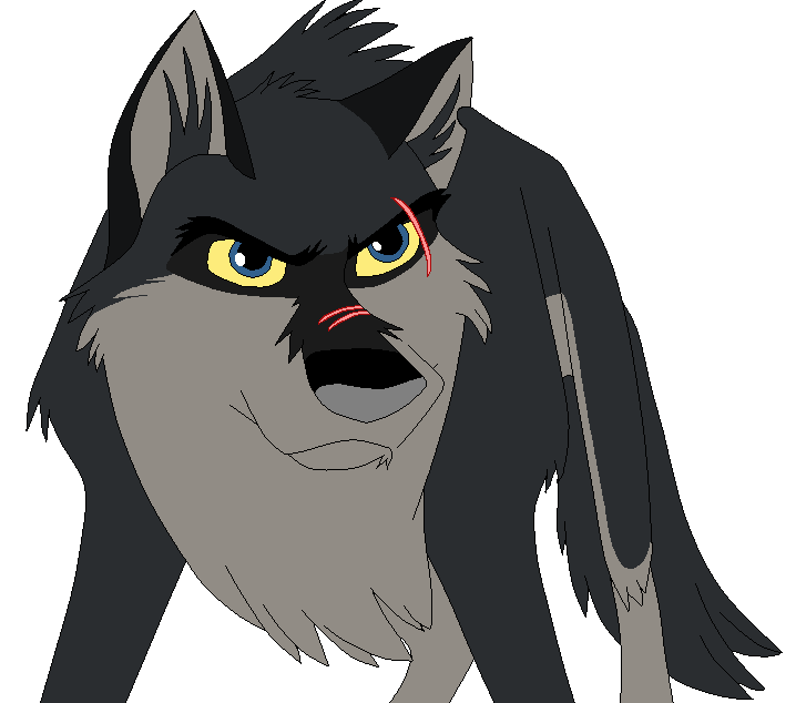Possible New Character