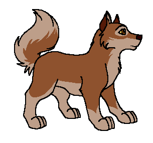 Balto x Jenna pup