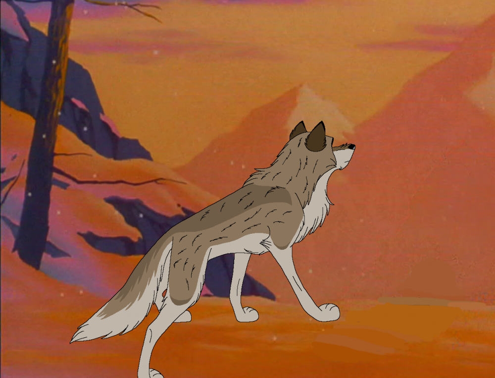Watching Over The Lands