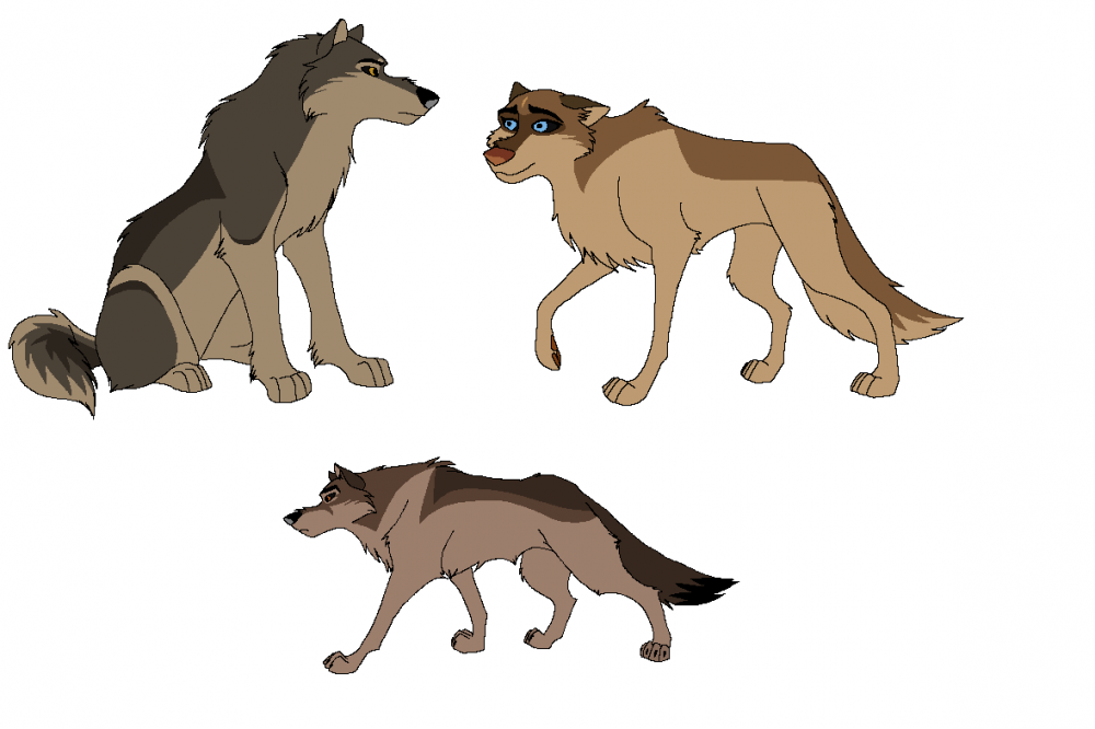 Wolfeh designs