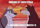 8D