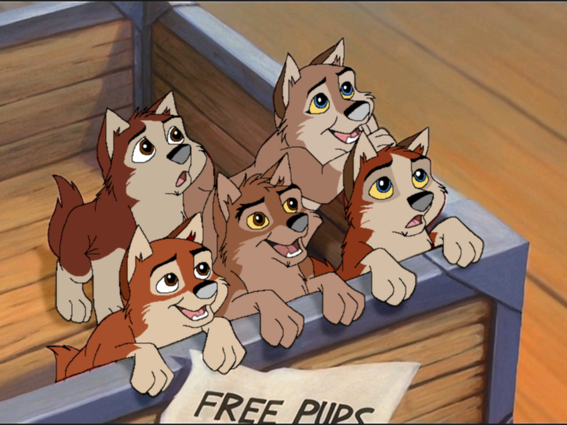 Box full o' puppehs