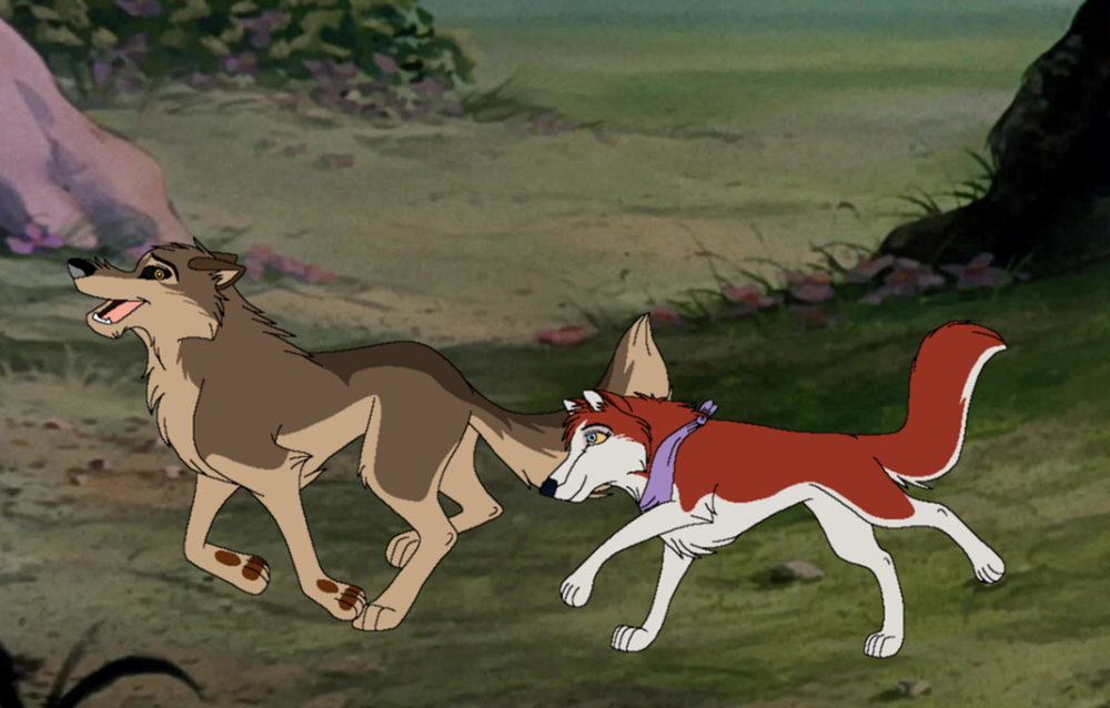 A Run On The Wild Side