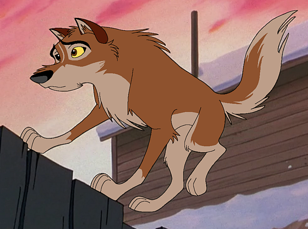 The Stray