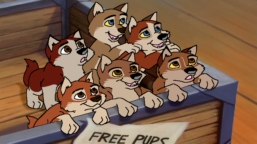 Box full of pups (2017 version)