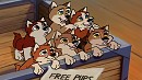 Box full of pups (2017 version)
