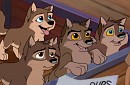  Free pups to good homes 