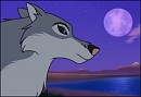 The Wolf And The Moon