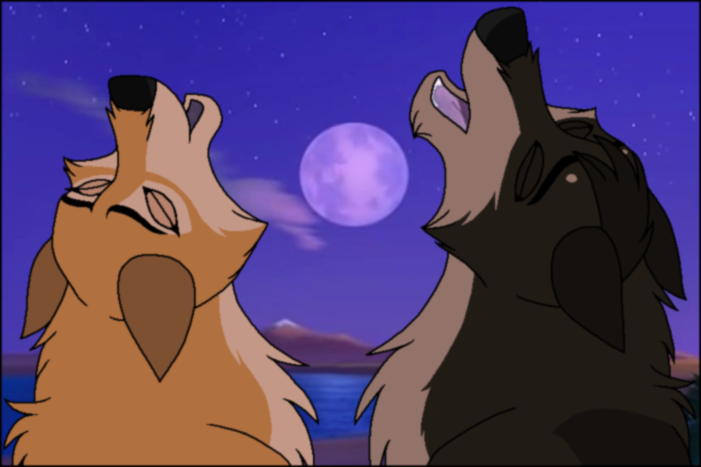 Moonlight Howl