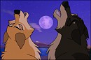 Moonlight Howl