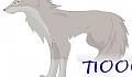 T1000