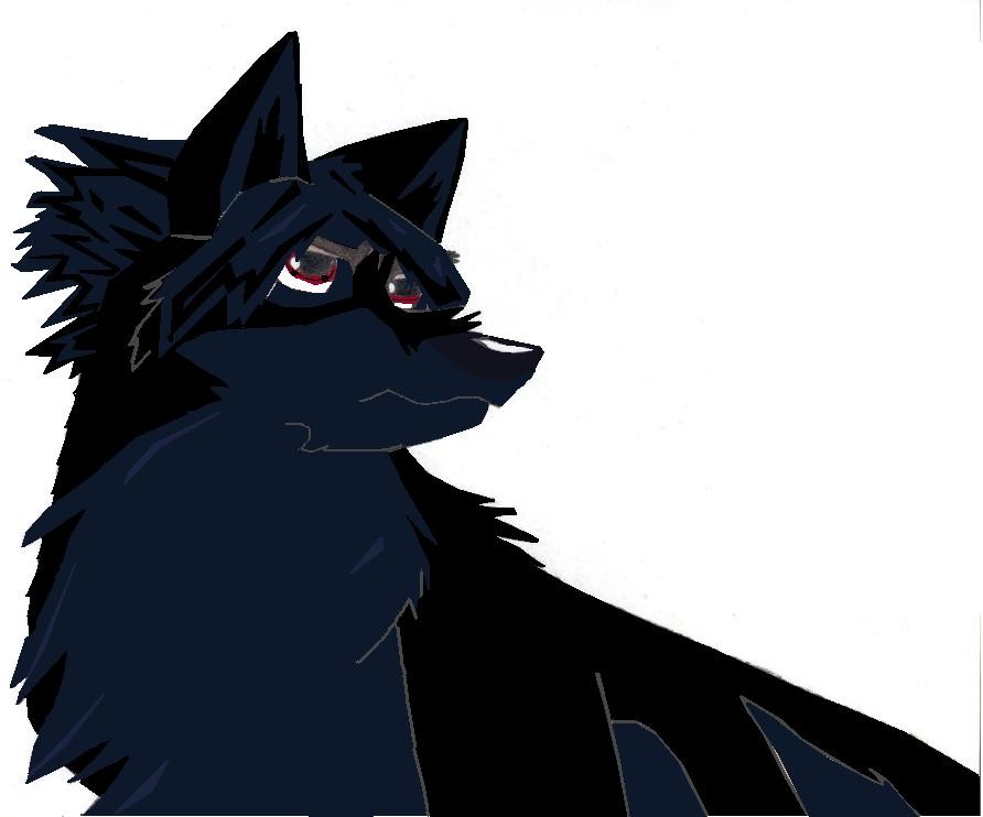 Sasuke request for ligerstar
