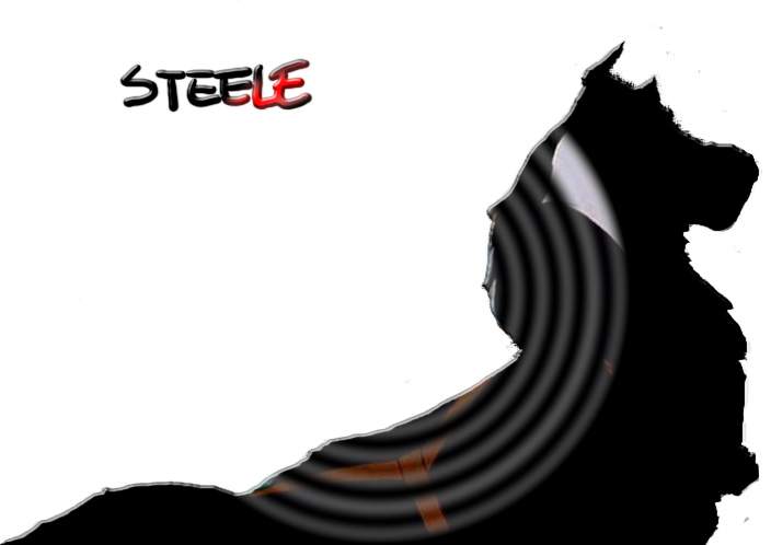 a steele cool image