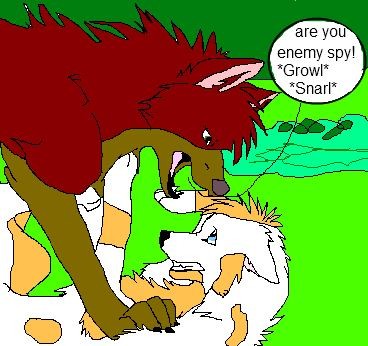 Just part of warrior wolfs