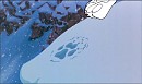 wolf paw base