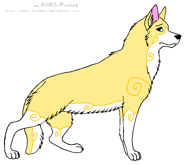 New char