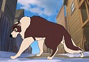 The Gentle Giant