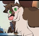 Future Contest!