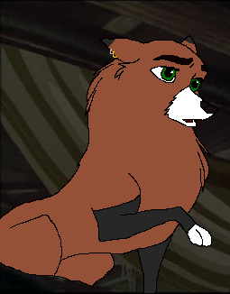 Foxxii